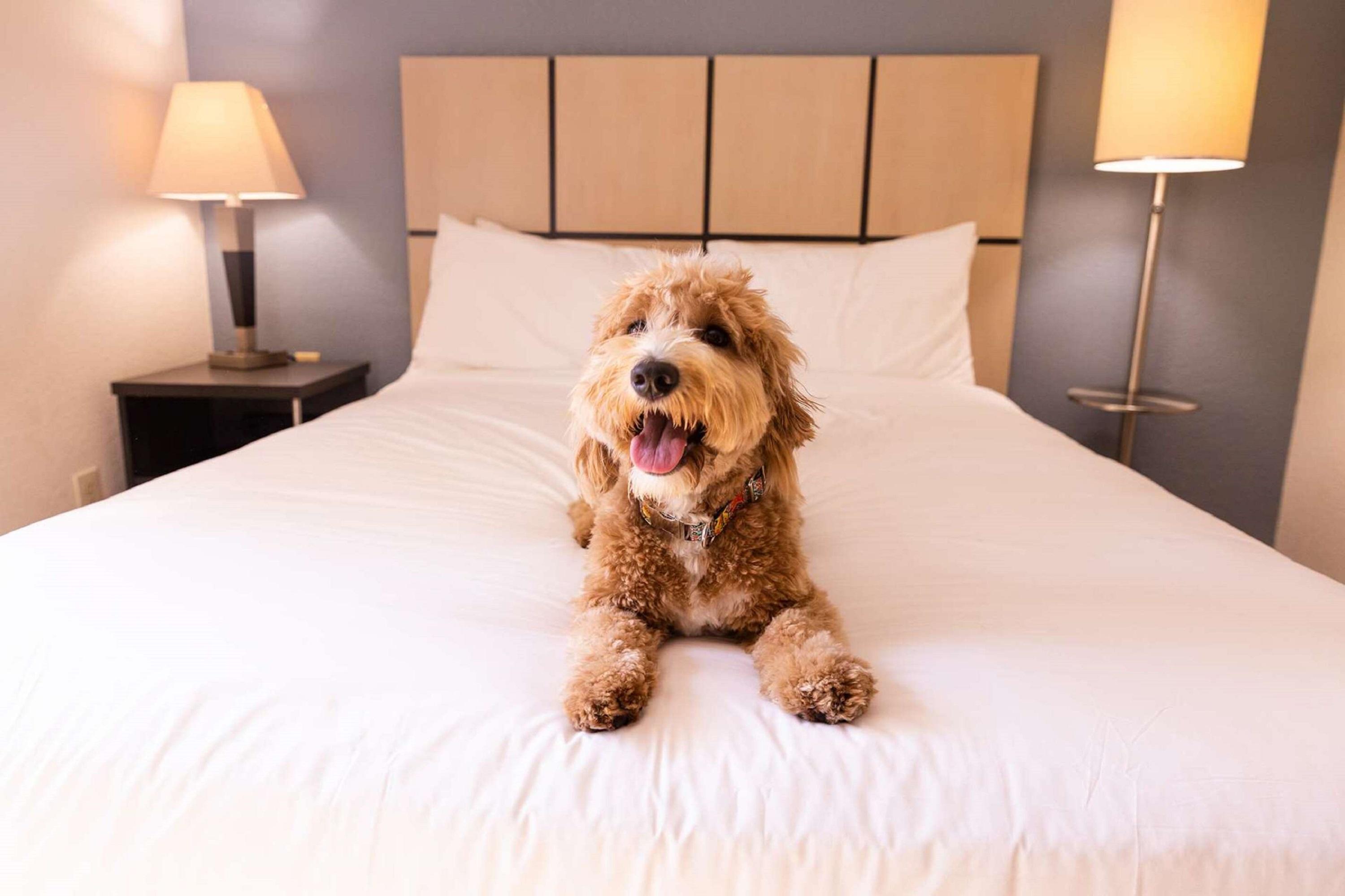 Sonesta Simply Suites Albuquerque Kültér fotó
